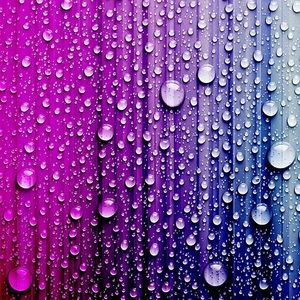 Meet your Posher, Karina